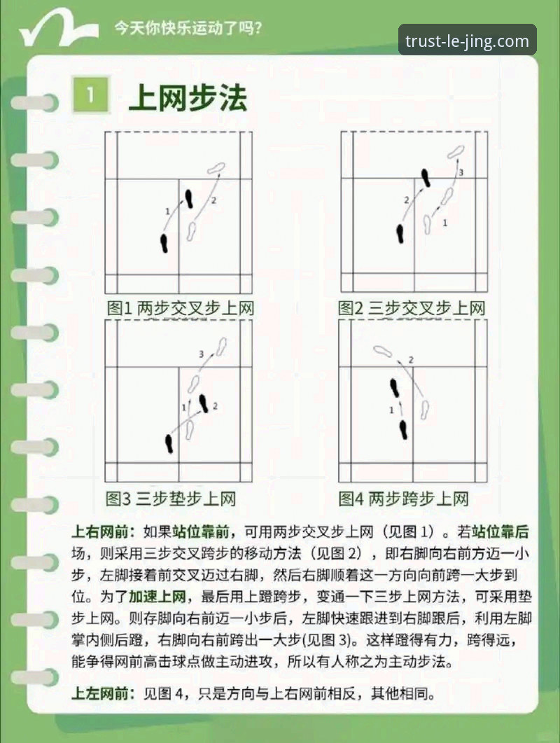 为什么说乐竞体育玩法安装教程是新手必备指南？