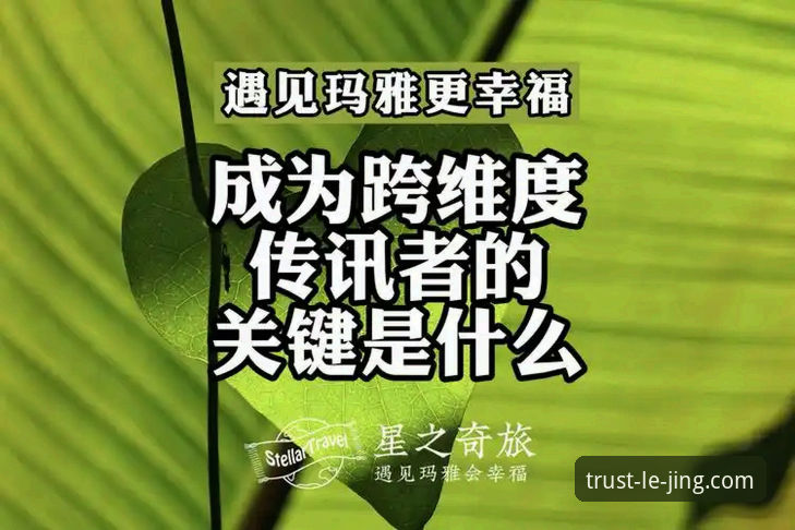 3个关键维度告诉你乐竞体育安全吗怎么样：老用户亲测7个月的真实体验